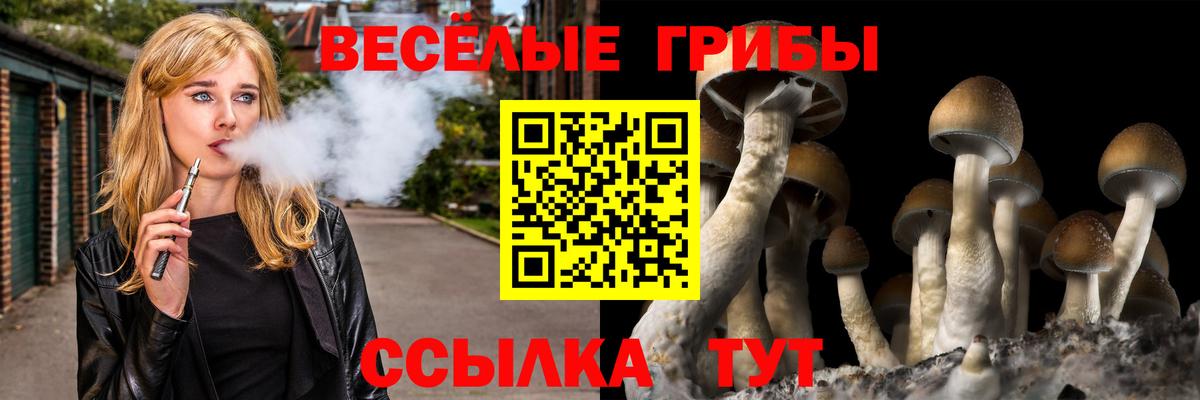 Галлюциногенные грибы Magic Shrooms  что такое наркотик  Вятские Поляны  Вход с VPN 